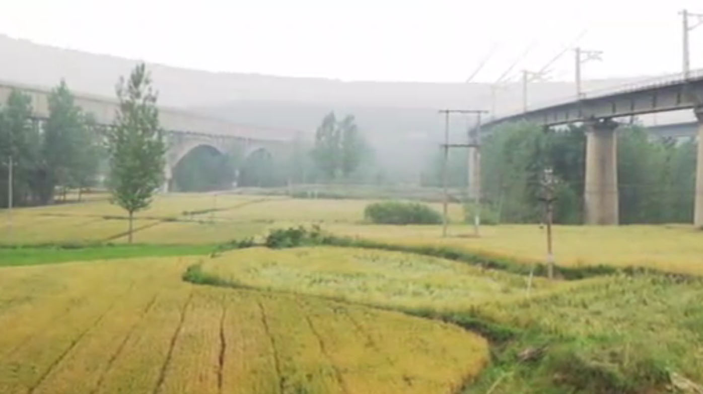 陸渾水庫(kù)專題片